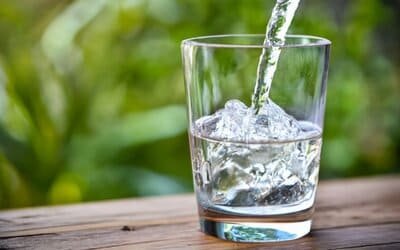 filter water in the bush